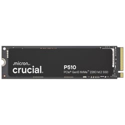 Crucial P510 SSD M.2 2280 1 To (CT1000P510SSD8)