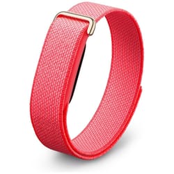 Google Fitbit Air