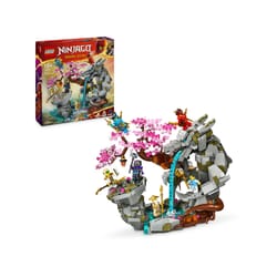 LEGO Ninjago Temple de la pierre du dragon 71819