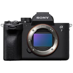 Sony Alpha 7 IV Body (ILCE7M4)